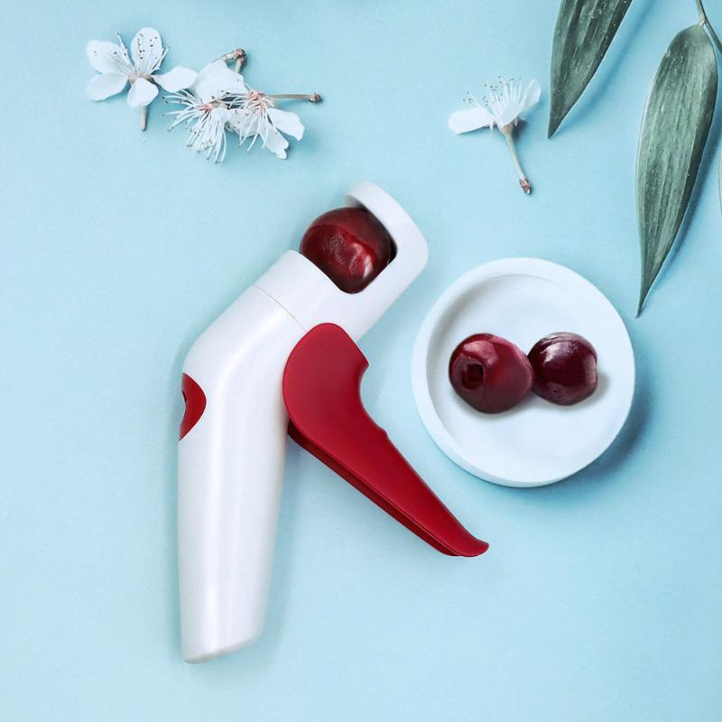 Cherry Red Dates Hawthorn Pitt - Home Improvement Kitchen ulasan dan harga